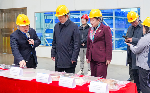 民革中央副主席谷振春一行莅临顶立科技调研 (4).jpg